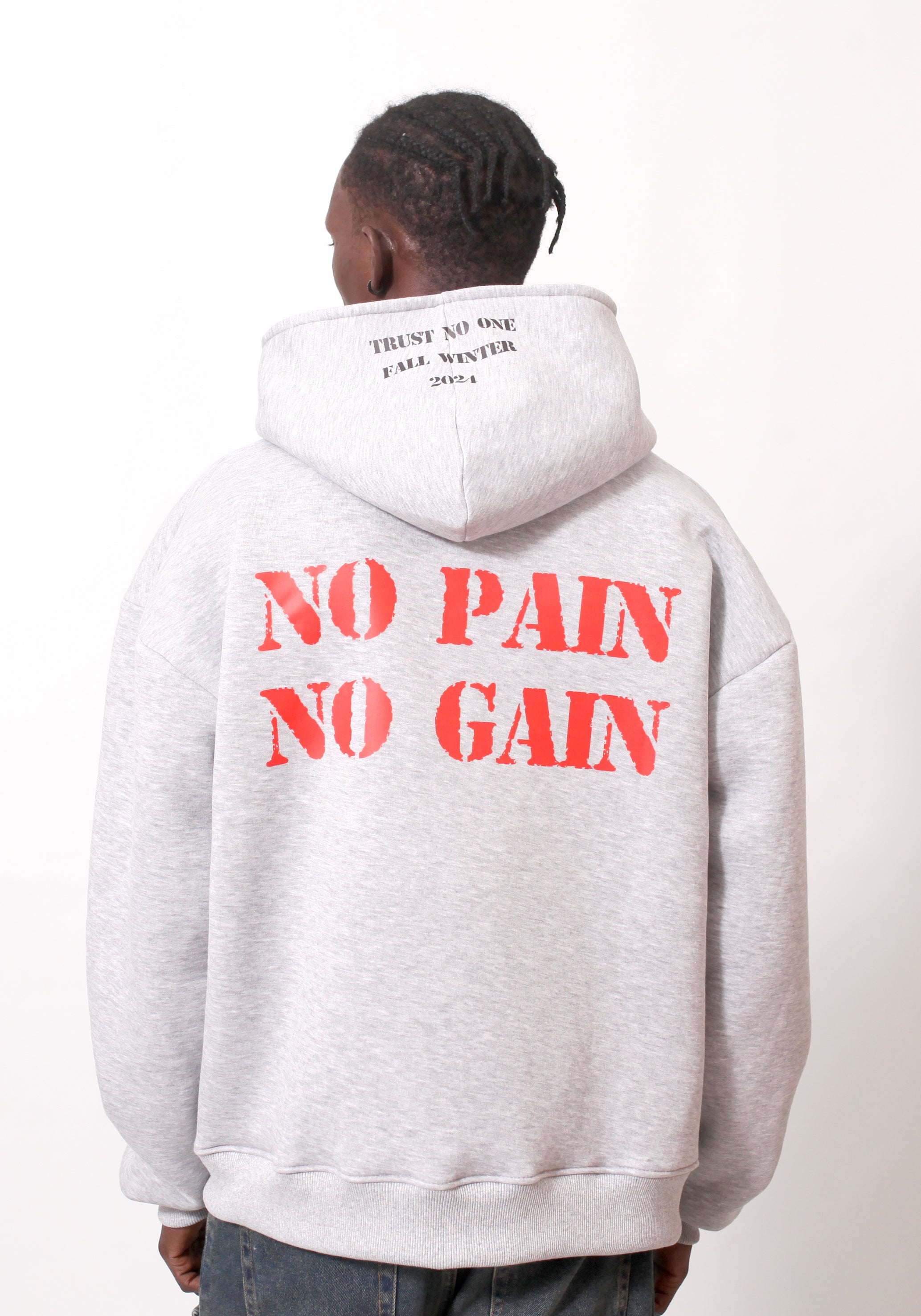 Hoodie No Pain No Gain