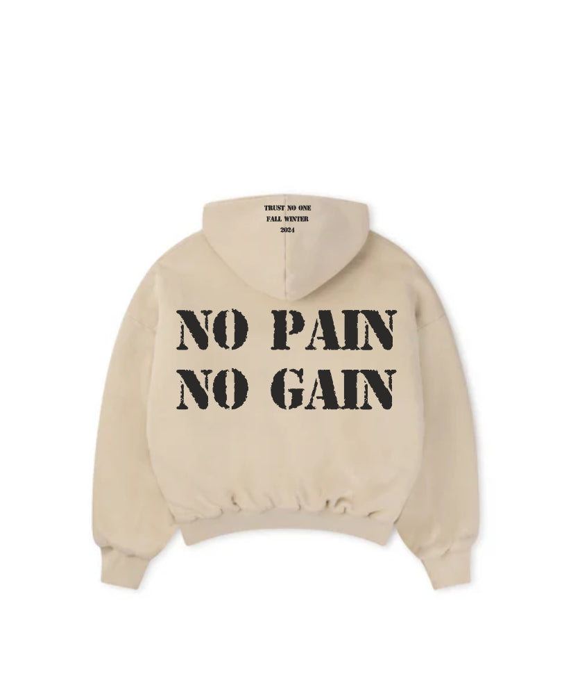 Hoodie No Pain No Gain